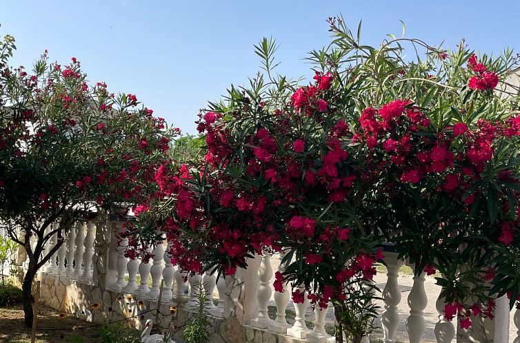 Appartement Wohnung Nada in Sabunike - von TA Leut Agency