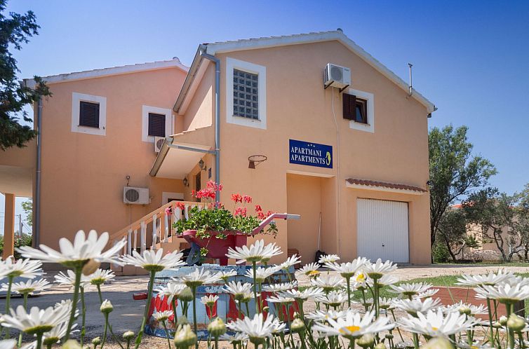 Appartement Wohnung Casa Nada02mit Terrasse - Agentur TA Leu