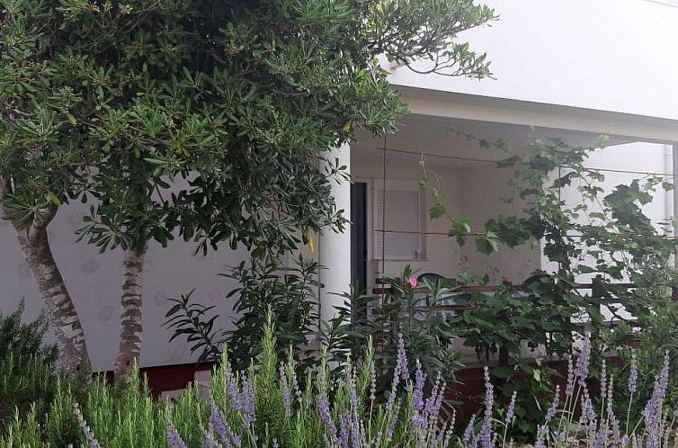 Appartement Wohnung Oase in der Nähe von Queen Beach - TA L