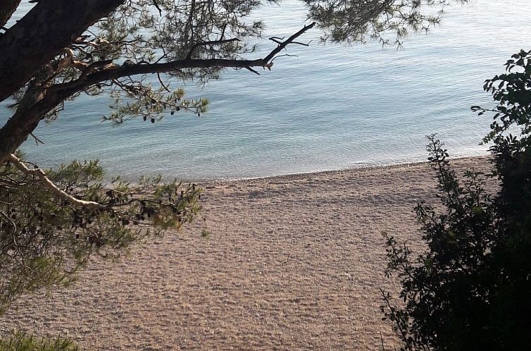Vakantiehuis Villa Bellavista