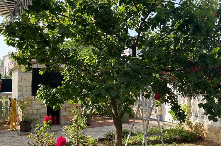 Appartement Wohnungen Nada in Sabunike - von TA Leut Agency