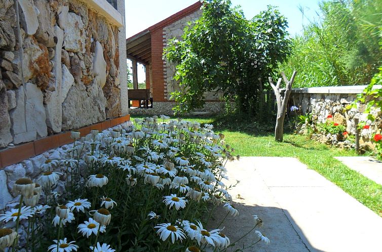 Appartement Delfin mit Meerblick - Agentur TA Leut