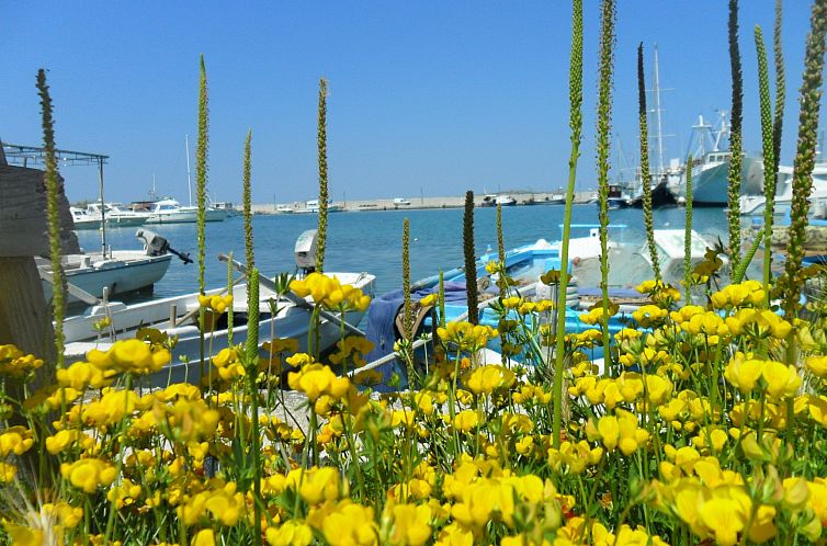 Appartement Wohnung Lungomare mit Grill - von TA Leut Agency