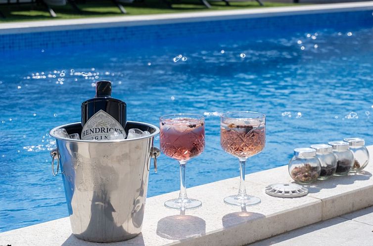 Vakantiehuis Villa mit beheiztem Pool Privlaka - TA Leut Age