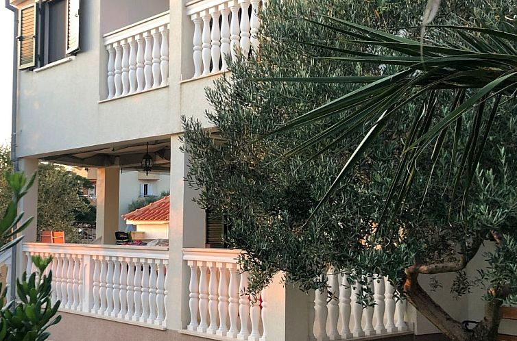 Vakantiehuis Villa Olive Grove