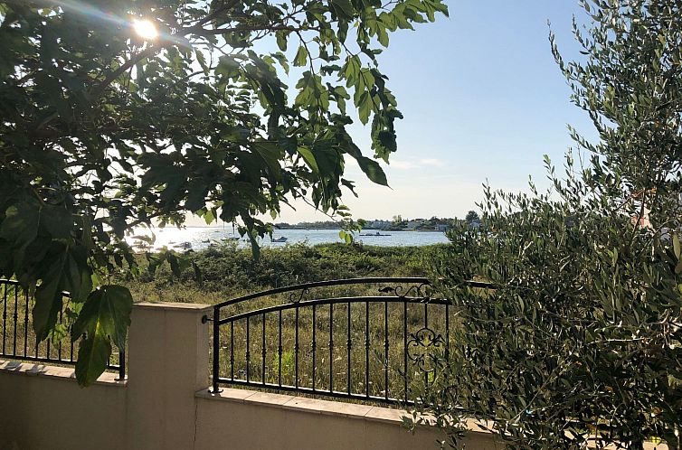 Vakantiehuis Villa Olive Grove