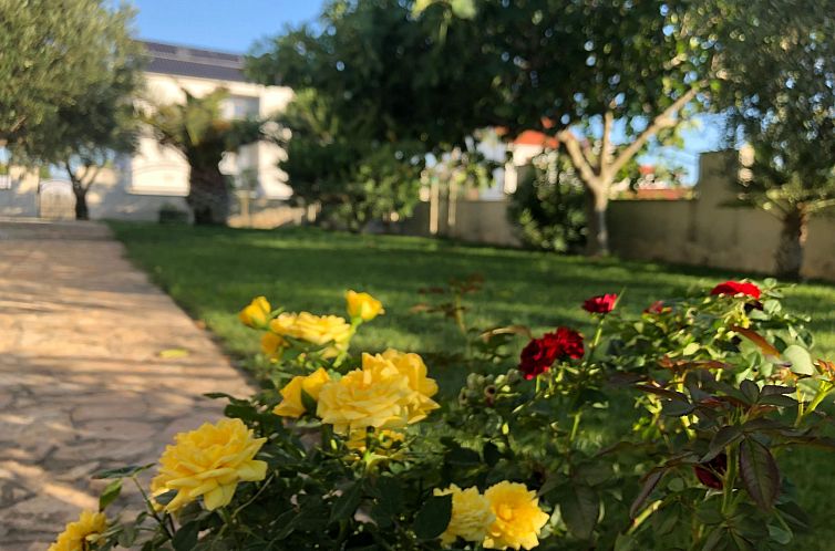 Vakantiehuis Villa Olive Grove