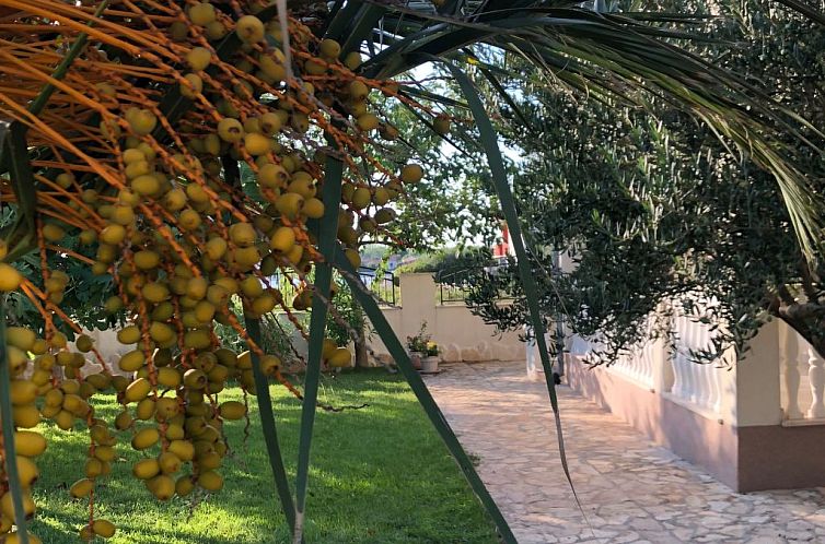 Vakantiehuis Villa Olive Grove