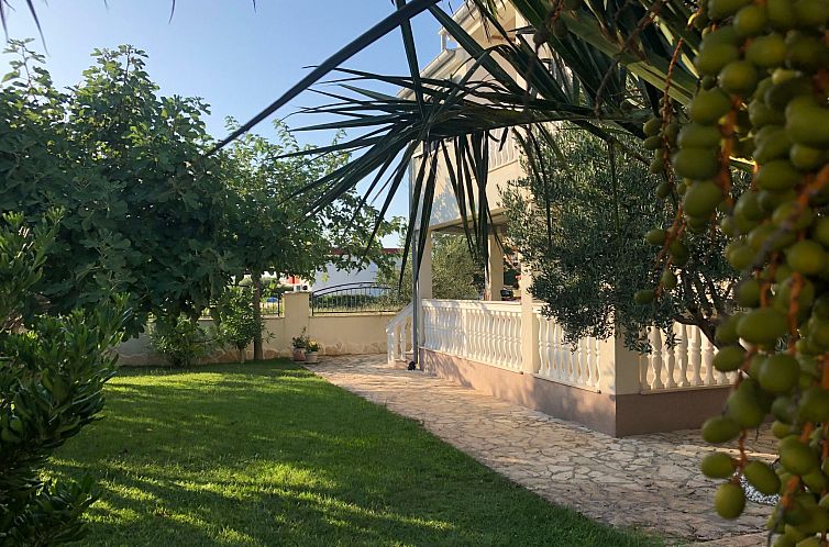 Vakantiehuis Villa Olive Grove