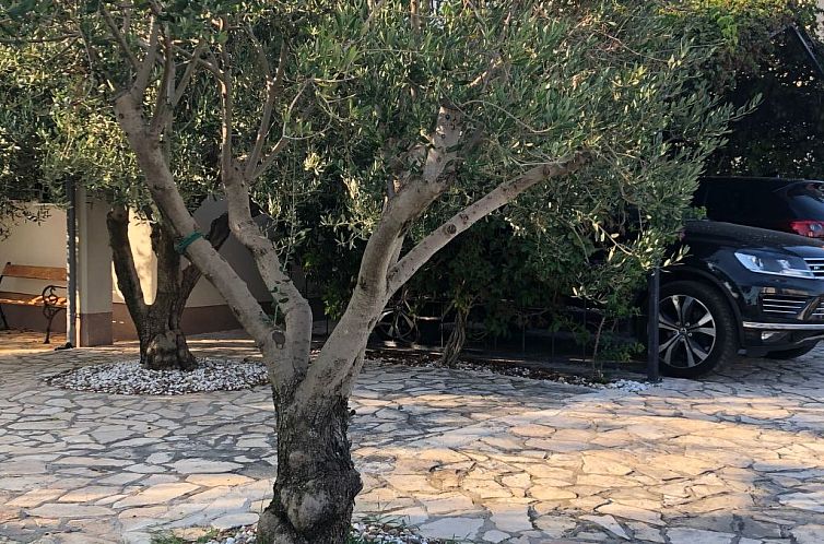 Vakantiehuis Villa Olive Grove