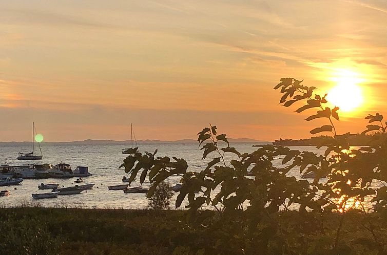 Vakantiehuis Villa Olive Grove