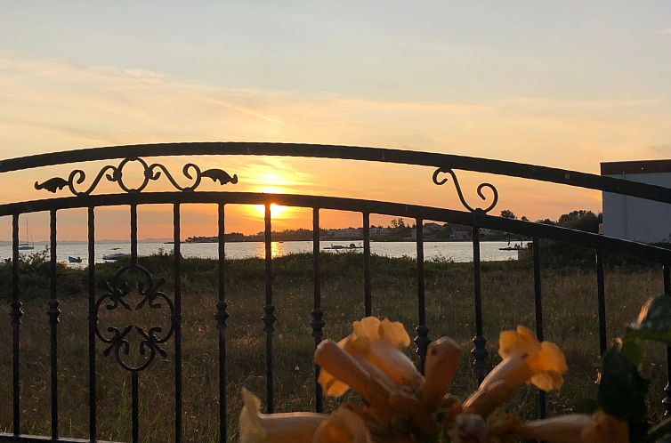 Vakantiehuis Villa Olive Grove