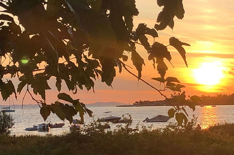 Vakantiehuis Villa Olive Grove