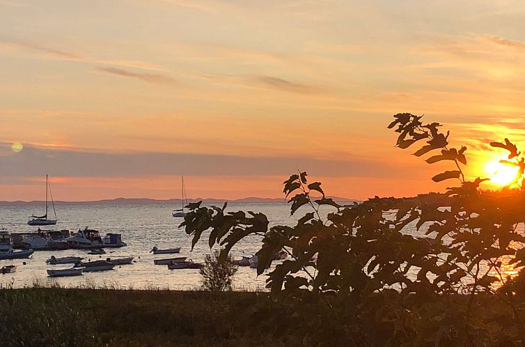 Vakantiehuis Villa Olive Grove