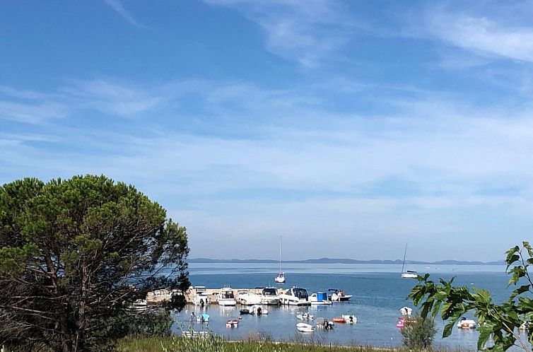 Vakantiehuis Villa Olive Grove