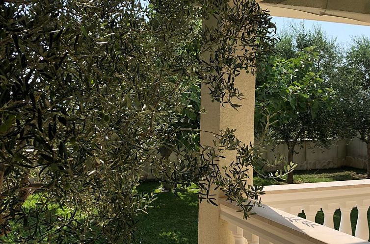 Vakantiehuis Villa Olive Grove