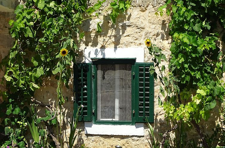 Vakantiehuis Landhaus Kostela