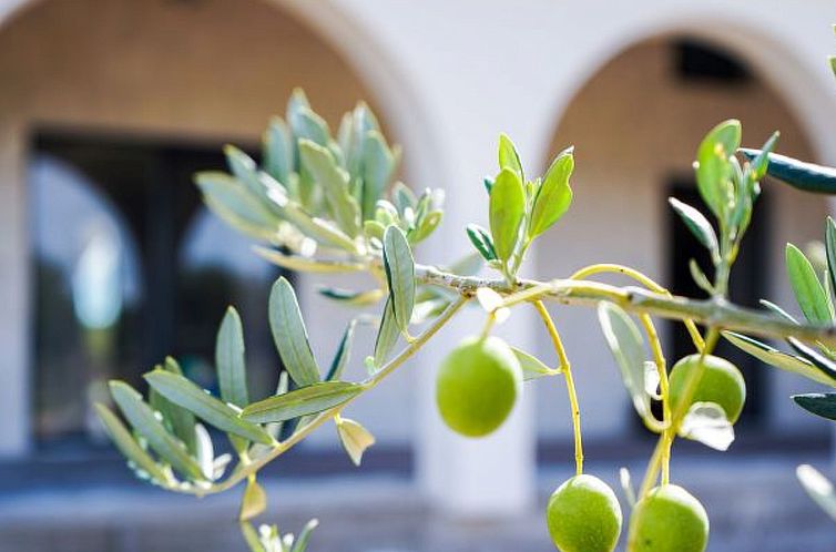 Vakantiehuis Holiday Home Olivarum with pool