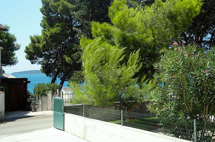 Appartement Ante