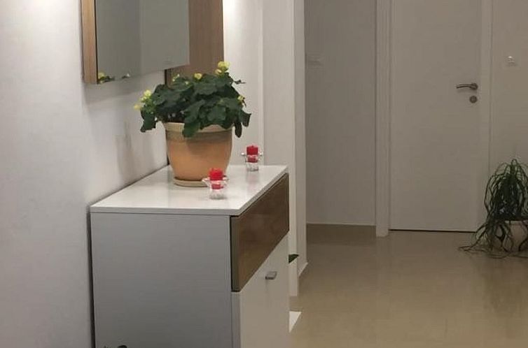 Appartement Geräumige Ferienwohnung mit schönem Garten