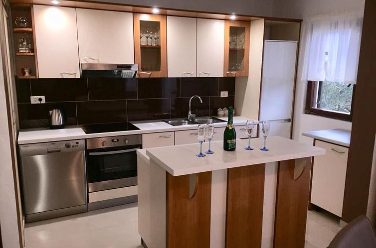 Appartement Geräumige Ferienwohnung mit schönem Garten