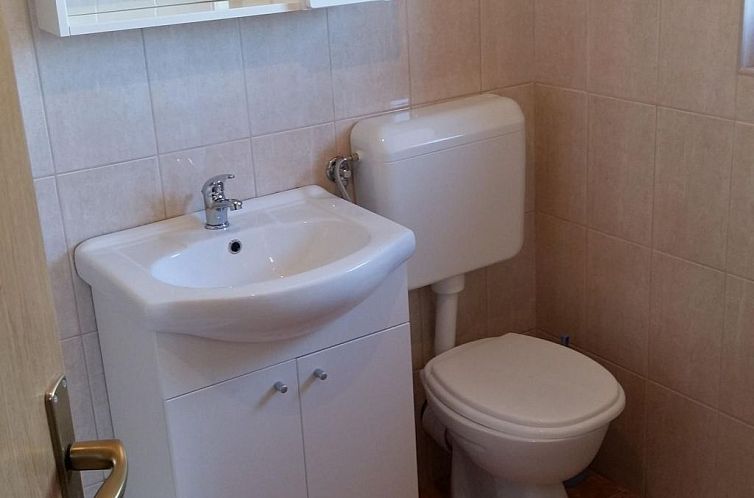 Appartement Gemütliche Wohnung Ema in Vir