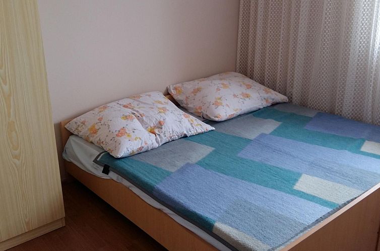 Appartement Gemütliche Wohnung Ema in Vir