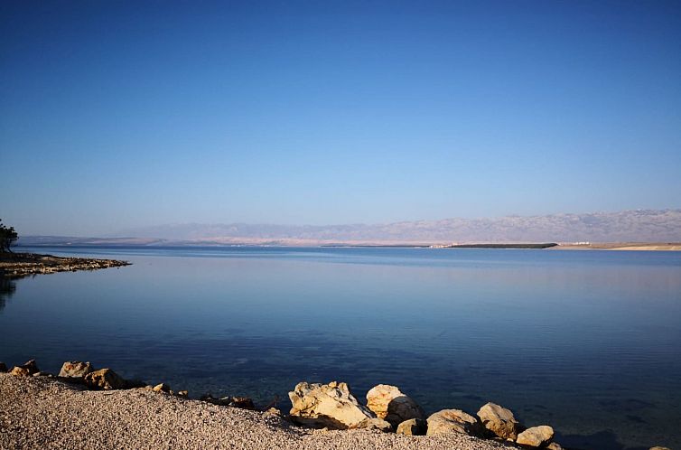 Appartement Gemütliche Wohnung Ema in Vir