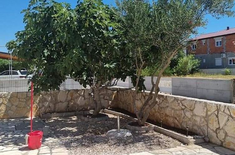 Appartement Charmante, sonnige Ferienwohnung