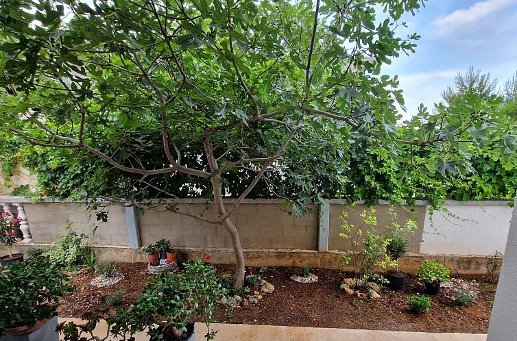 Appartement Wohnung Bela Vista in Vir - von TA Leut Agency