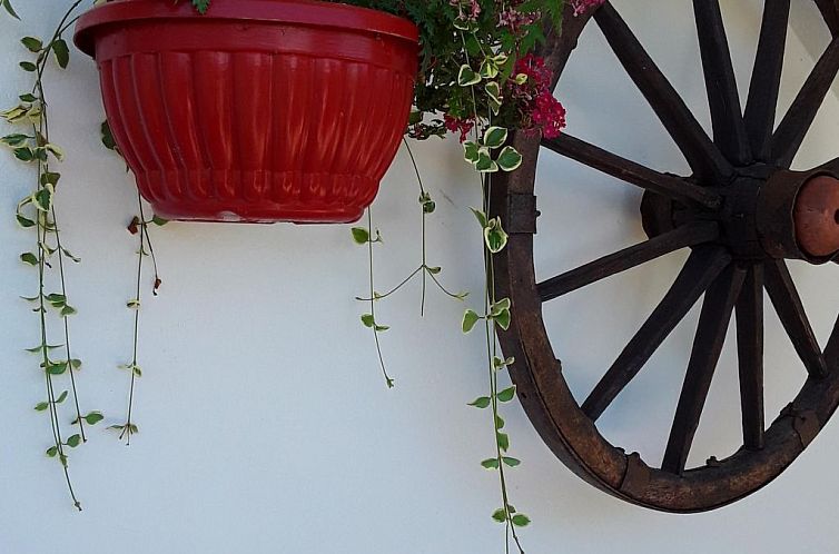 Vakantiehuis in Vir mit Terrasse und Garten