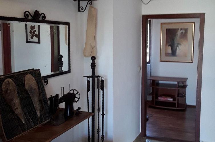 Vakantiehuis in Vir mit Terrasse und Garten