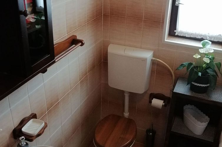 Vakantiehuis in Vir mit Terrasse und Garten