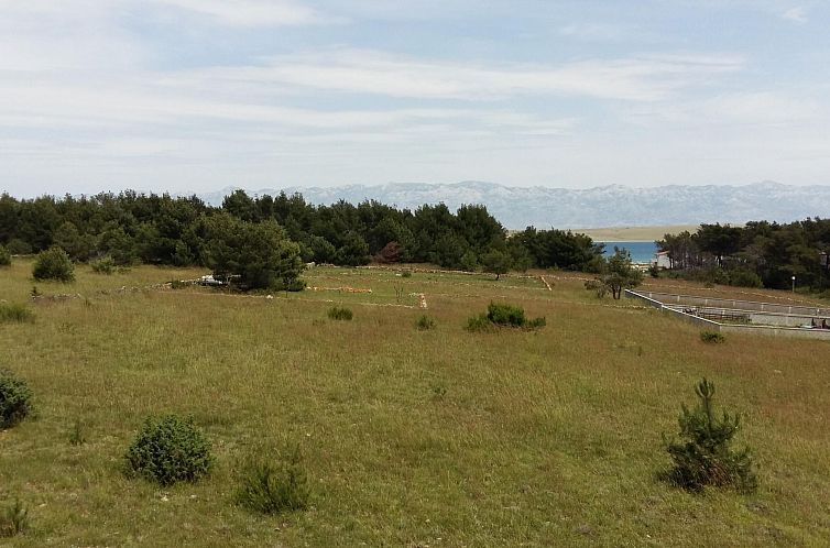 Appartement Gemütliche Erdgeschosswohnung Ema mit Terrasse