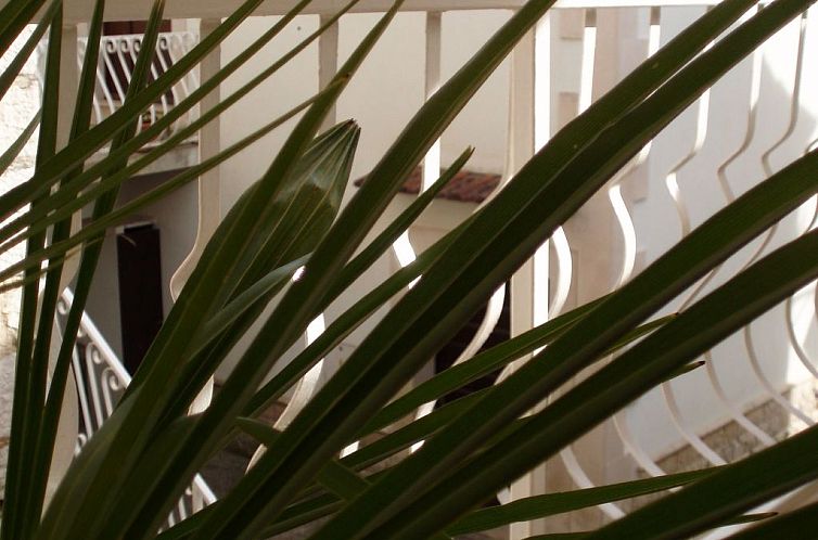 Appartement "Vrboska" direkt am Strand