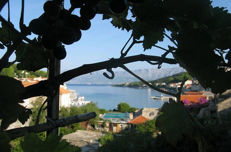 Appartement Villa Moj mir AP IV