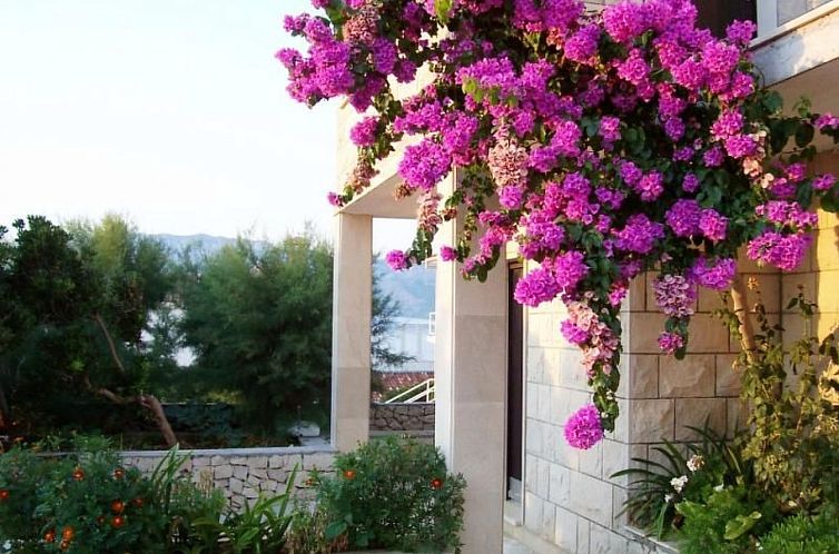 Appartement "Appartement "Ana""