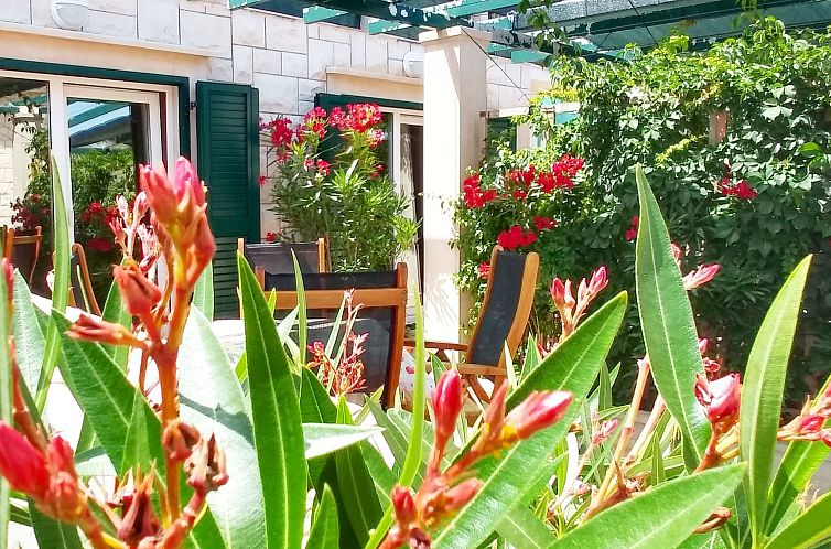 Appartement Apartments Villa Gracin