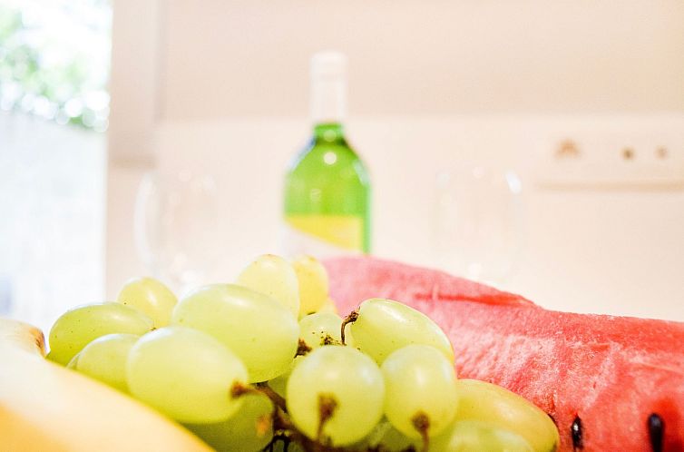 Appartement Apartments Villa Gracin