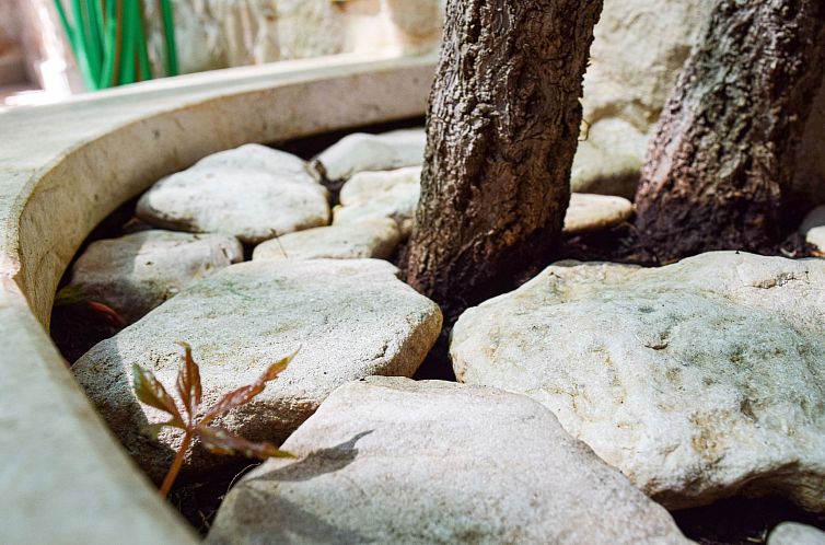 Appartement Apartments Villa Gracin