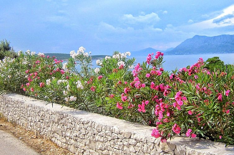 Appartement Apartments Villa Gracin