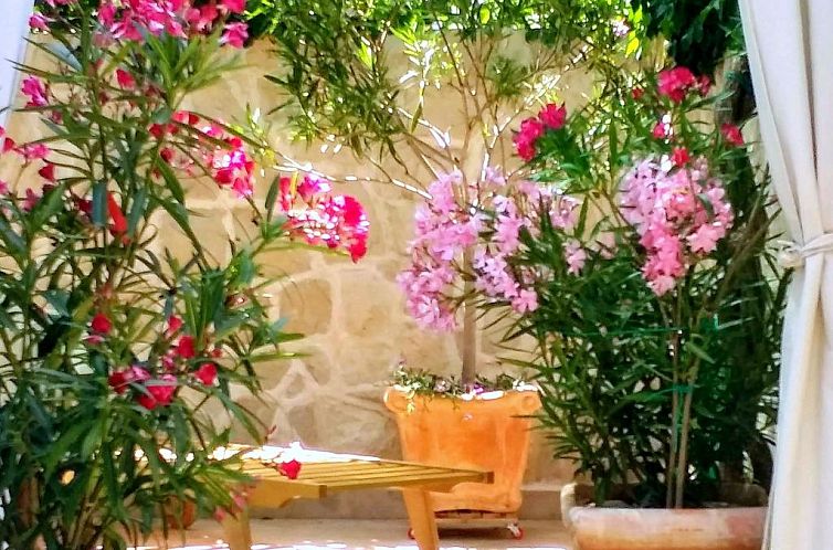 Appartement Apartments Villa Gracin