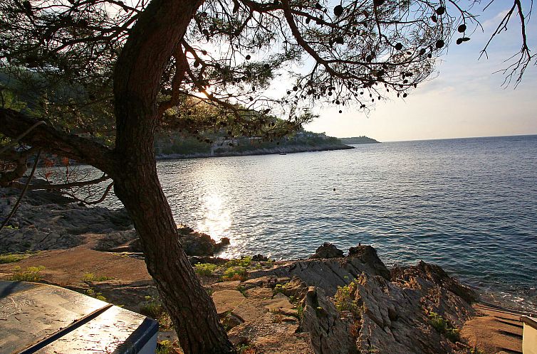Appartement Dijana