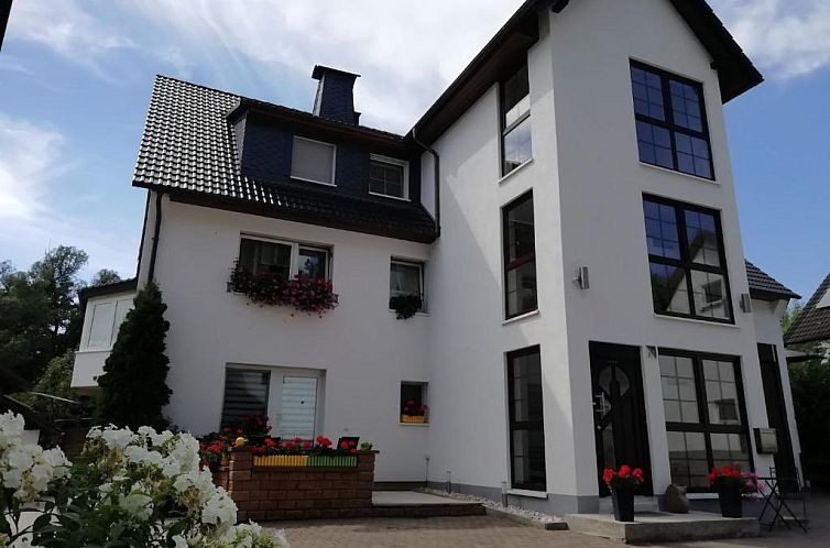 Guest house 10402838 - Apartment Sauerland - Modern holiday home in idyllic setting with private terrace 