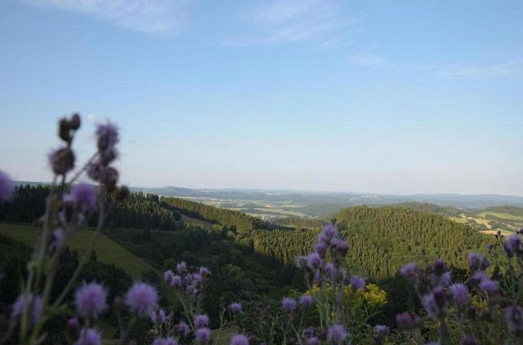 Modern holiday home in idyllic setting with private terrace 