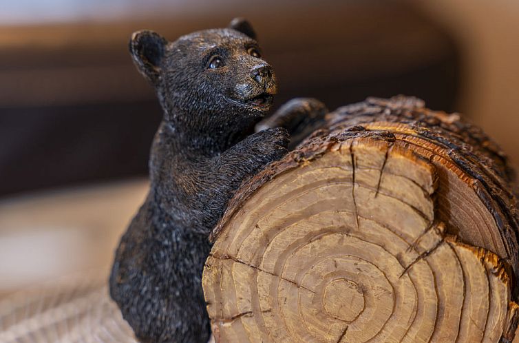 Vakantiehuis Cozy Bear Cabin