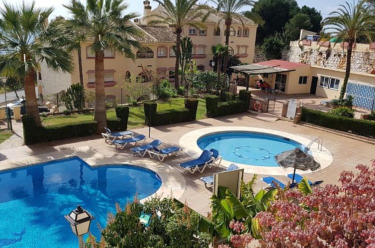 Torreoceano H4