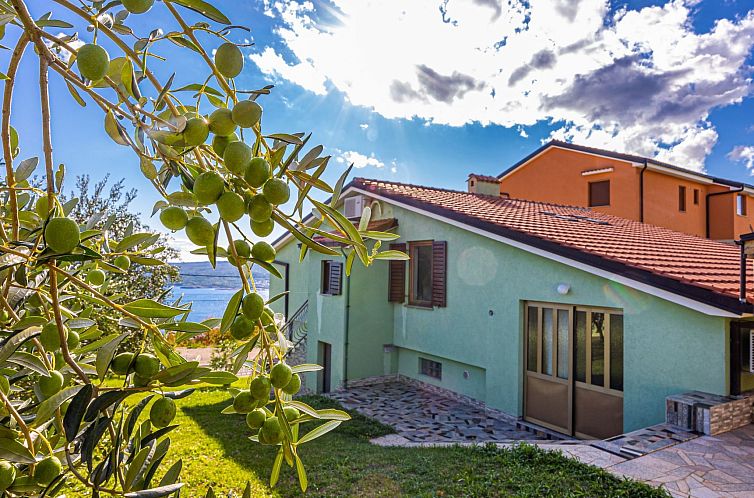 Unterkunft 10418103 - Appartement Kvarner - Appartement Appartement in Crikvenica mit Großem Garten