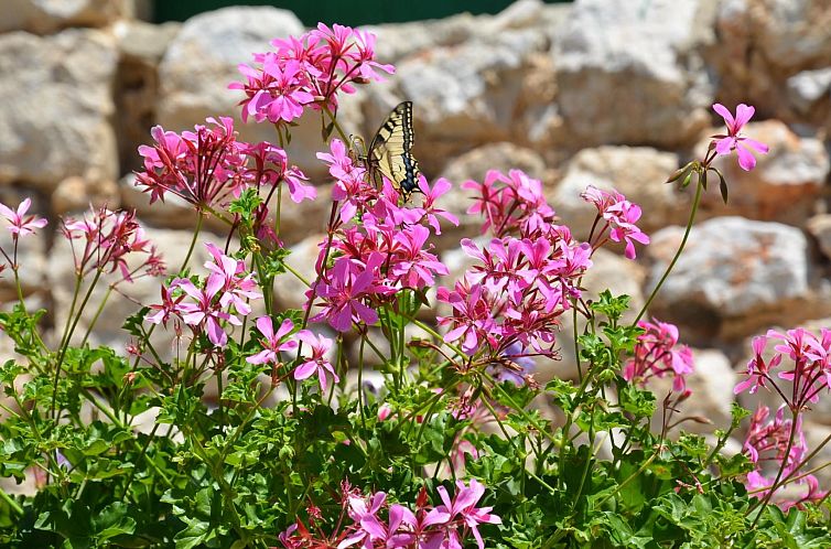 Vakantiehuis Großes Ferienhaus mit eigenem Pool und Terrass