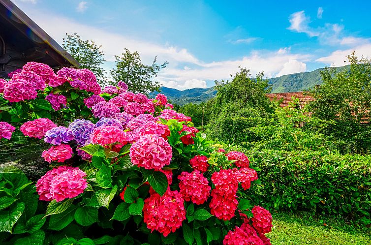 Vakantiehuis Božica